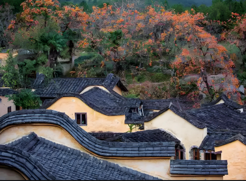 四坪村