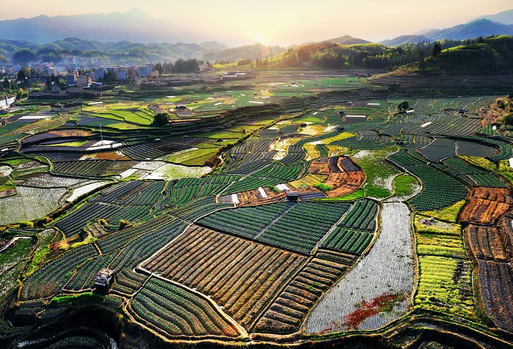 棠口村