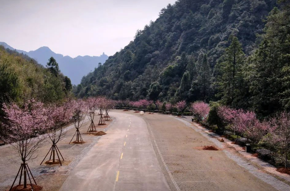 微信图片_20250311102104.png