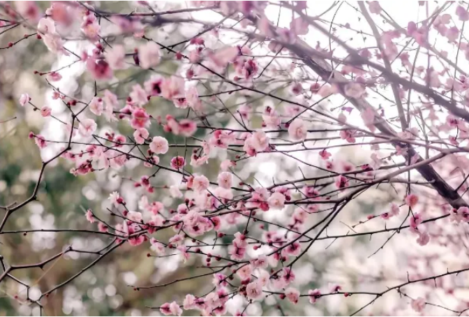 微信图片_20250311104157.png