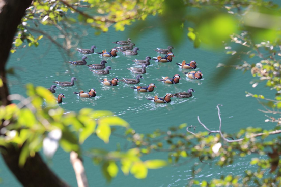 1759990562663714.png image.png