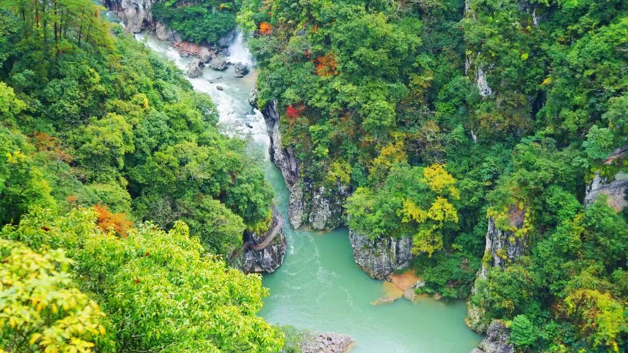 1760604976515738.jpg c3cb76086ae77258e471765bd43ab1cb.jpg