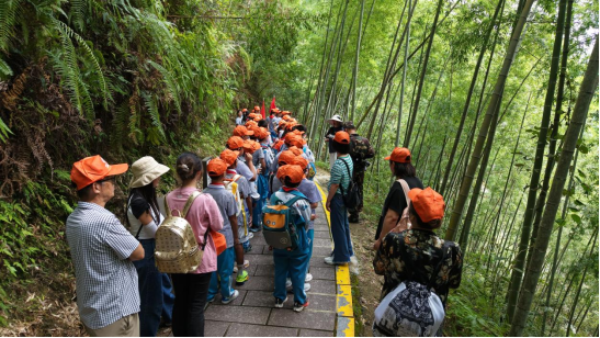 1760605020398173.png image.png