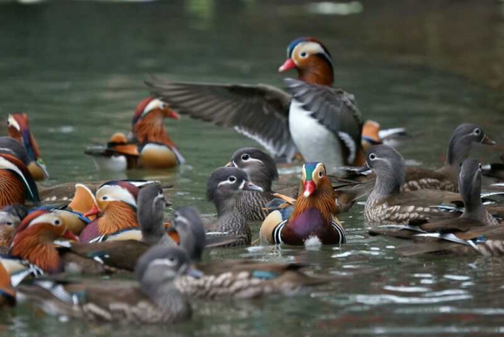 1760605202190663.png image.png