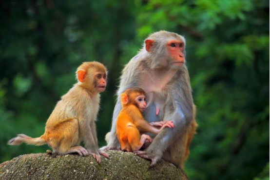 1760605212159736.png image.png