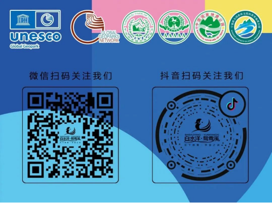 1760605225695539.png image.png