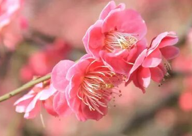 1772290410687370.png 08f92668-820f-4543-8b0c-f12d26cb9a6c.png